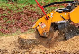 Best Grass Overseeding  in Flence, OR