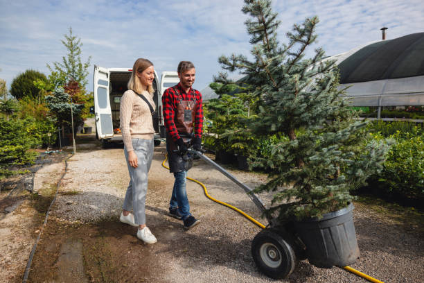 Seasonal Cleanup (Spring/Fall) in Florence, OR